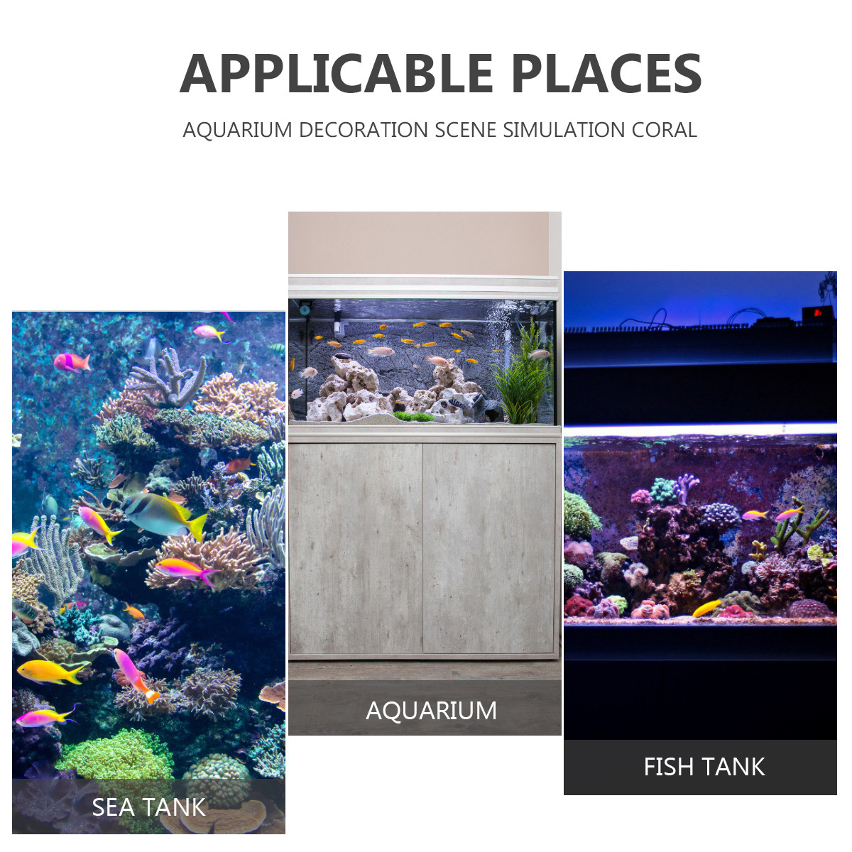 ปะการังเรซิ่นประดิษฐ์สำหรับตู้ - Xl Aquarium Fish บทวิจารณ์และราคา
