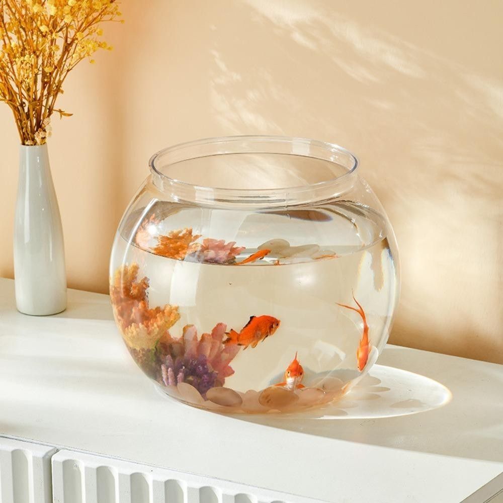 ตู้ปลาแบบพกพา โปร่งใส ทรงกลม ท - Aquarium Fish Goldfish บทวิจารณ์และราคา