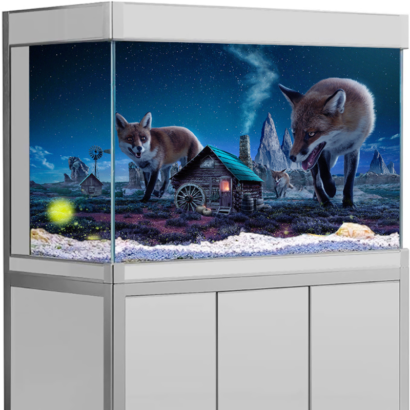 สติกเกอร์พื้นหลังตู้ปลา ลายจิ้ - Aquarium Fish Wallpaper บทวิจารณ์และราคา