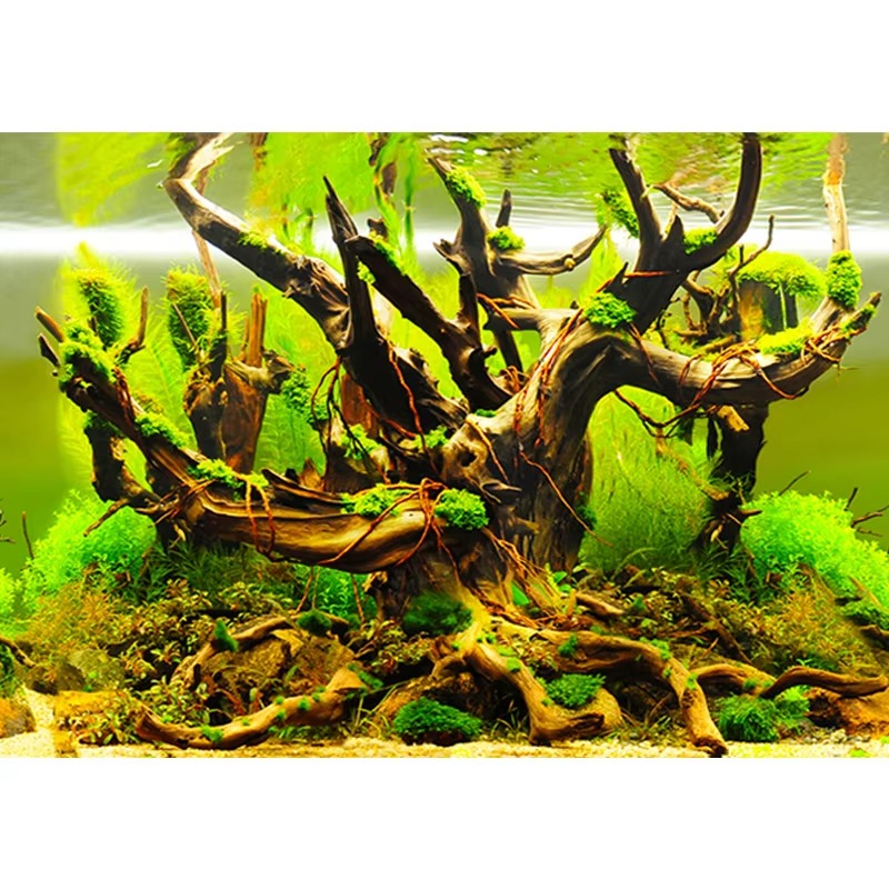 วอลเปเปอร์ติดผนังตู้ปลา ขนาด 5 - Aquarium Fish Wallpaper บทวิจารณ์และราคา