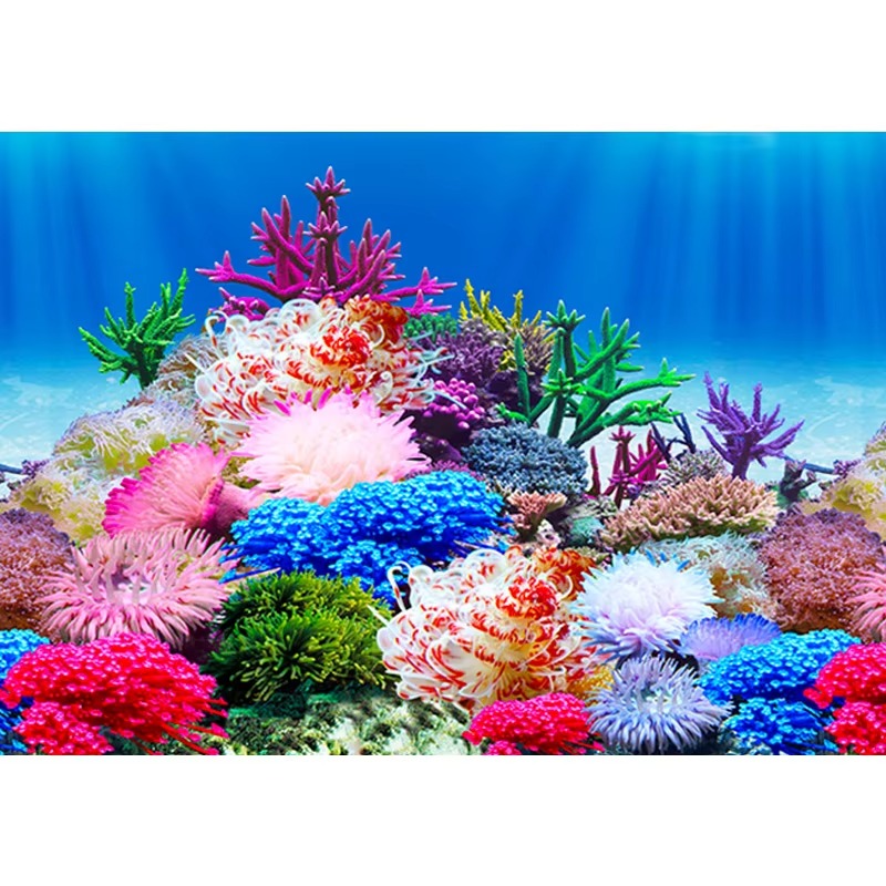วอลเปเปอร์ติดผนังตู้ปลา ขนาด 5 - Aquarium Fish Wallpaper บทวิจารณ์และราคา