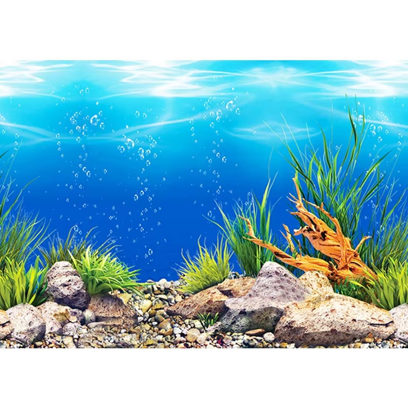 วอลเปเปอร์ติดผนังตู้ปลา ขนาด 5 - Aquarium Fish Wallpaper บทวิจารณ์และราคา