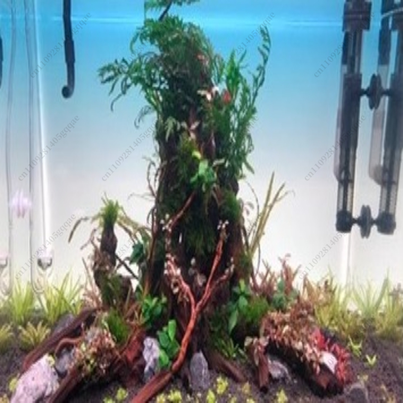 แผ่นพื้นหลังตู้ปลา LED สำหรับต - Aquarium Fish Rainbow บทวิจารณ์และราคา