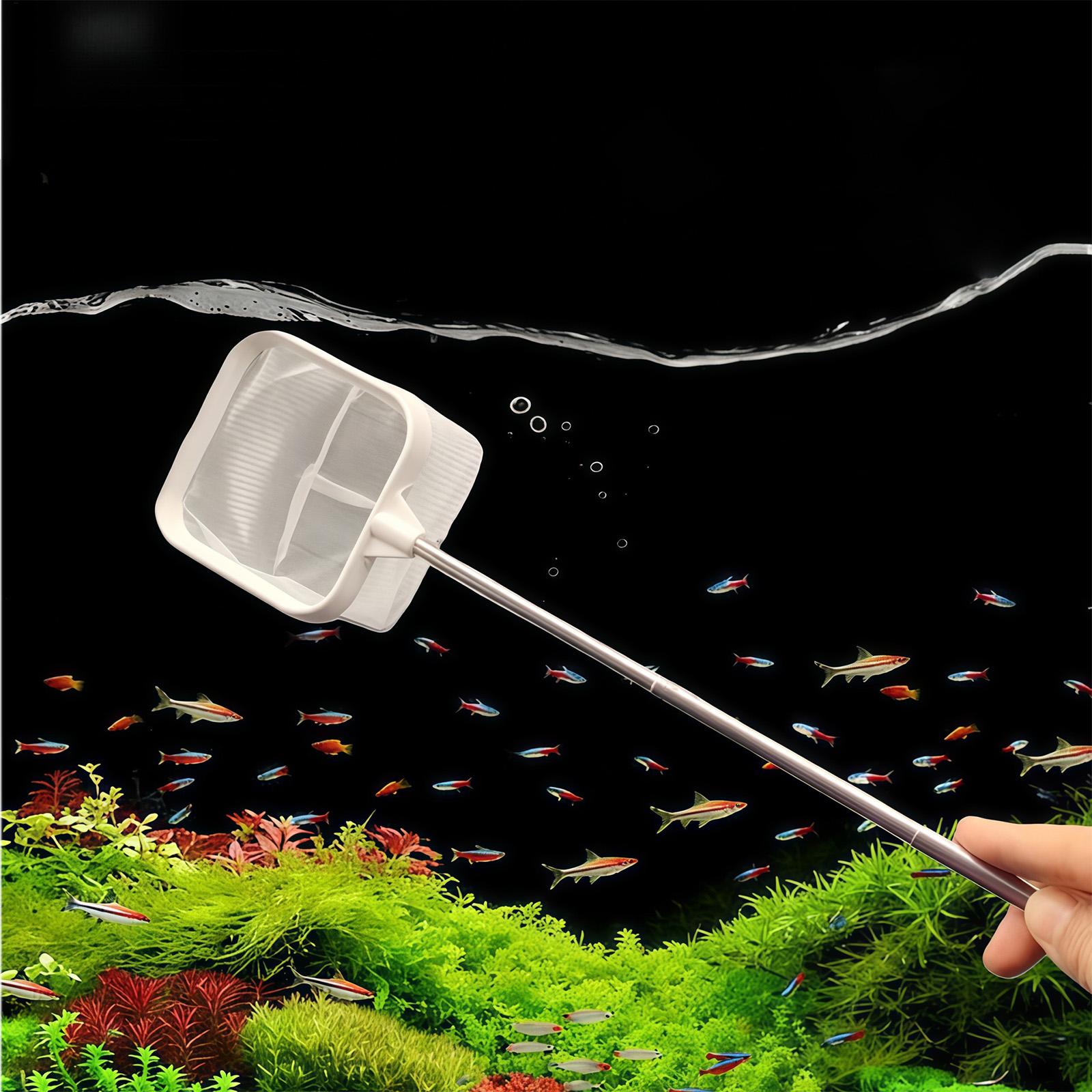 ที่ตักเศษใบไม้ในตู้ปลา/บ่อ/สระ - Fish Net Handle บทวิจารณ์และราคา