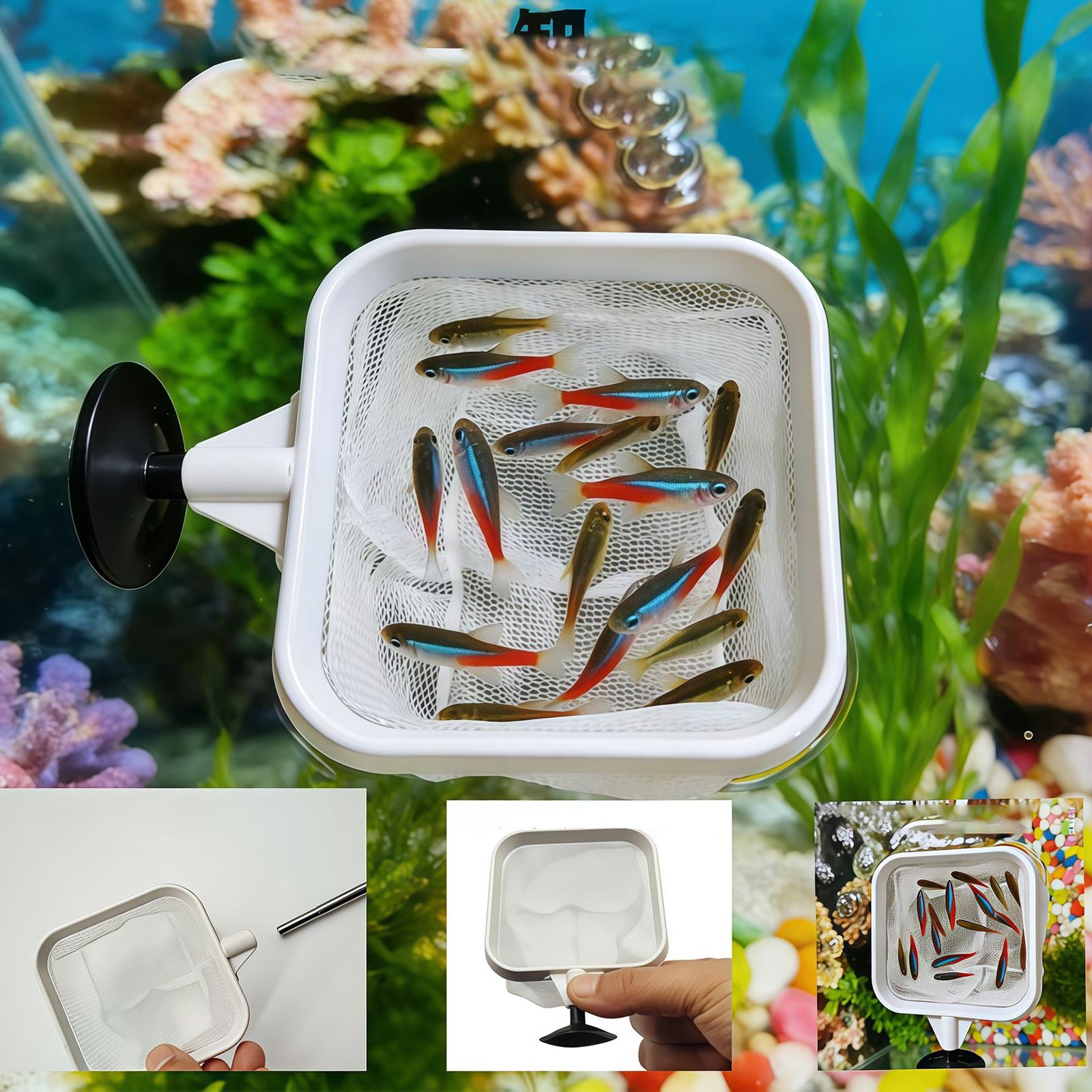 ที่ตักเศษใบไม้ในตู้ปลา/บ่อ/สระ - Fish Net Handle บทวิจารณ์และราคา