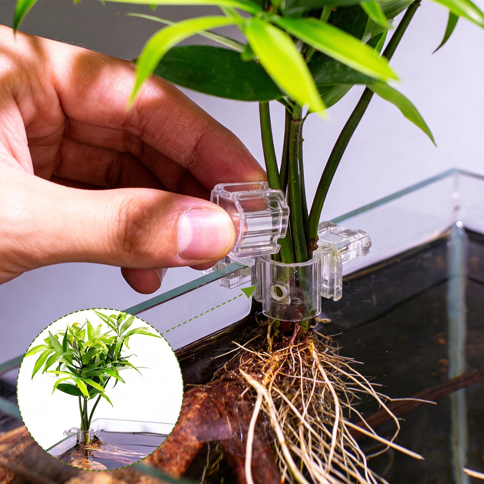 กระถางปลูกต้นไม้ในตู้ปลาขนาดเล - Aquarium Fish Feeder บทวิจารณ์และราคา