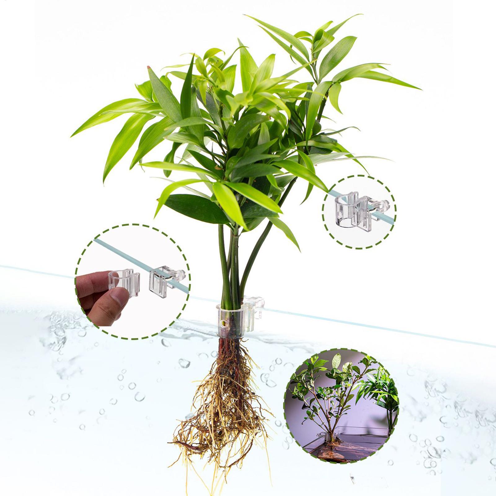 กระถางปลูกต้นไม้ในตู้ปลาขนาดเล - Aquarium Fish Feeder บทวิจารณ์และราคา