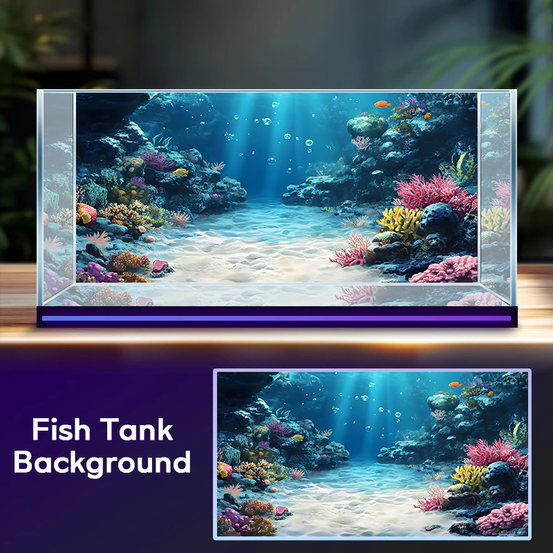 แนวคิดการตกแต่งพื้นหลังตู้ปลาแ - Aquarium Fish Rainbow บทวิจารณ์และราคา