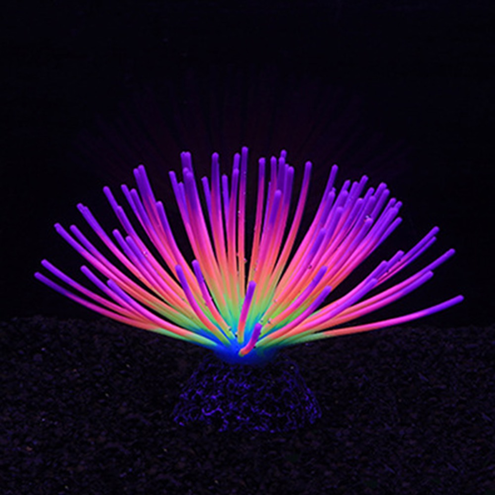ต้นปะการังซิลิโคนหลากสีสัน ลัก - Aquarium Fish Rainbow บทวิจารณ์และราคา