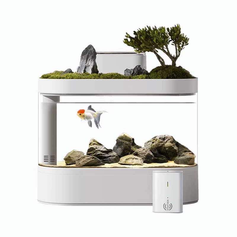 ตู้ปลาอัจฉริยะแบบตั้งโต๊ะพร้อม - Aquarium Fish Feeder บทวิจารณ์และราคา
