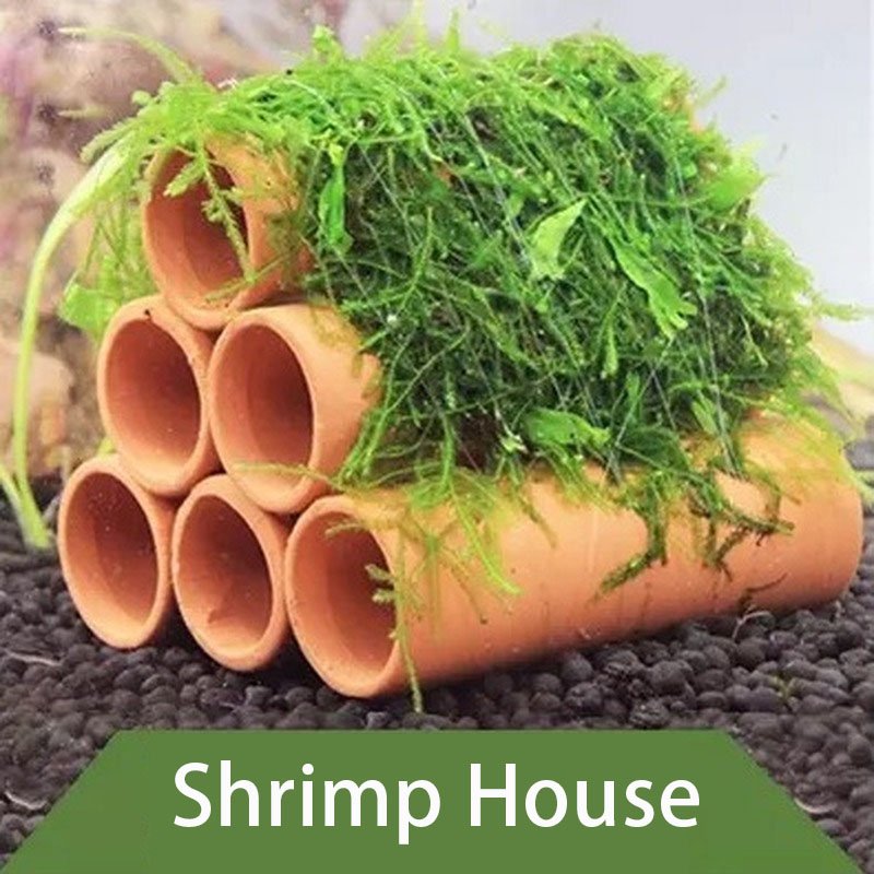 Clay Aquarium ตกแต่งปลากุ้งเล่ - Aquarium Fish Hide บทวิจารณ์และราคา