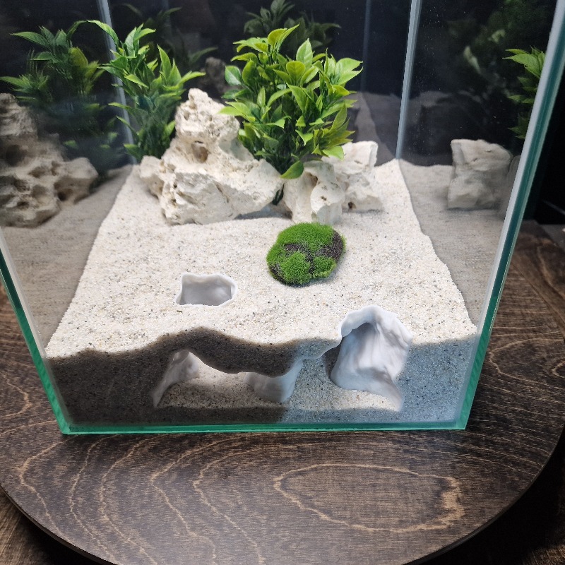 ที่ซ่อนตัวสำหรับปลาและกุ้งแบบ  - Aquarium Fish Hide บทวิจารณ์และราคา