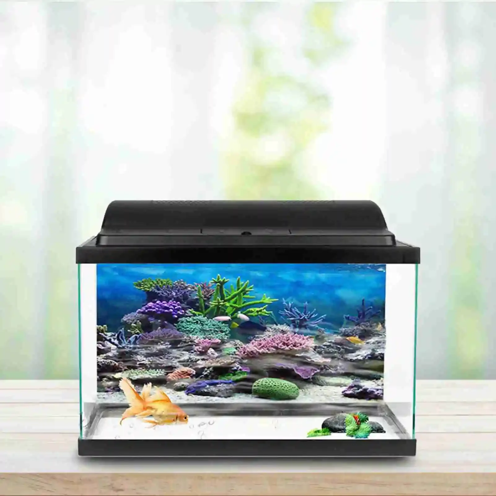 โปสเตอร์แนวนอนลายพิพิธภัณฑ์สัต - Aquarium Fish Wallpaper บทวิจารณ์และราคา