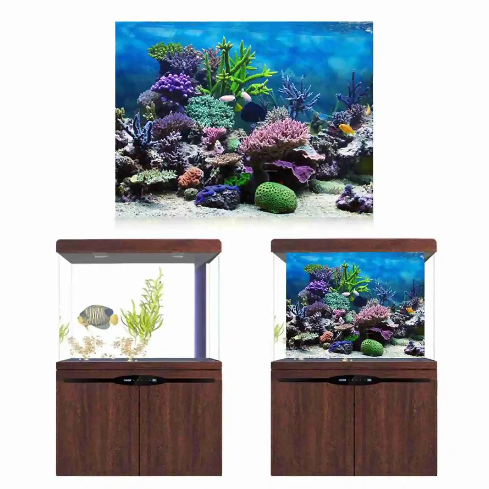โปสเตอร์แนวนอนลายพิพิธภัณฑ์สัต - Aquarium Fish Wallpaper บทวิจารณ์และราคา