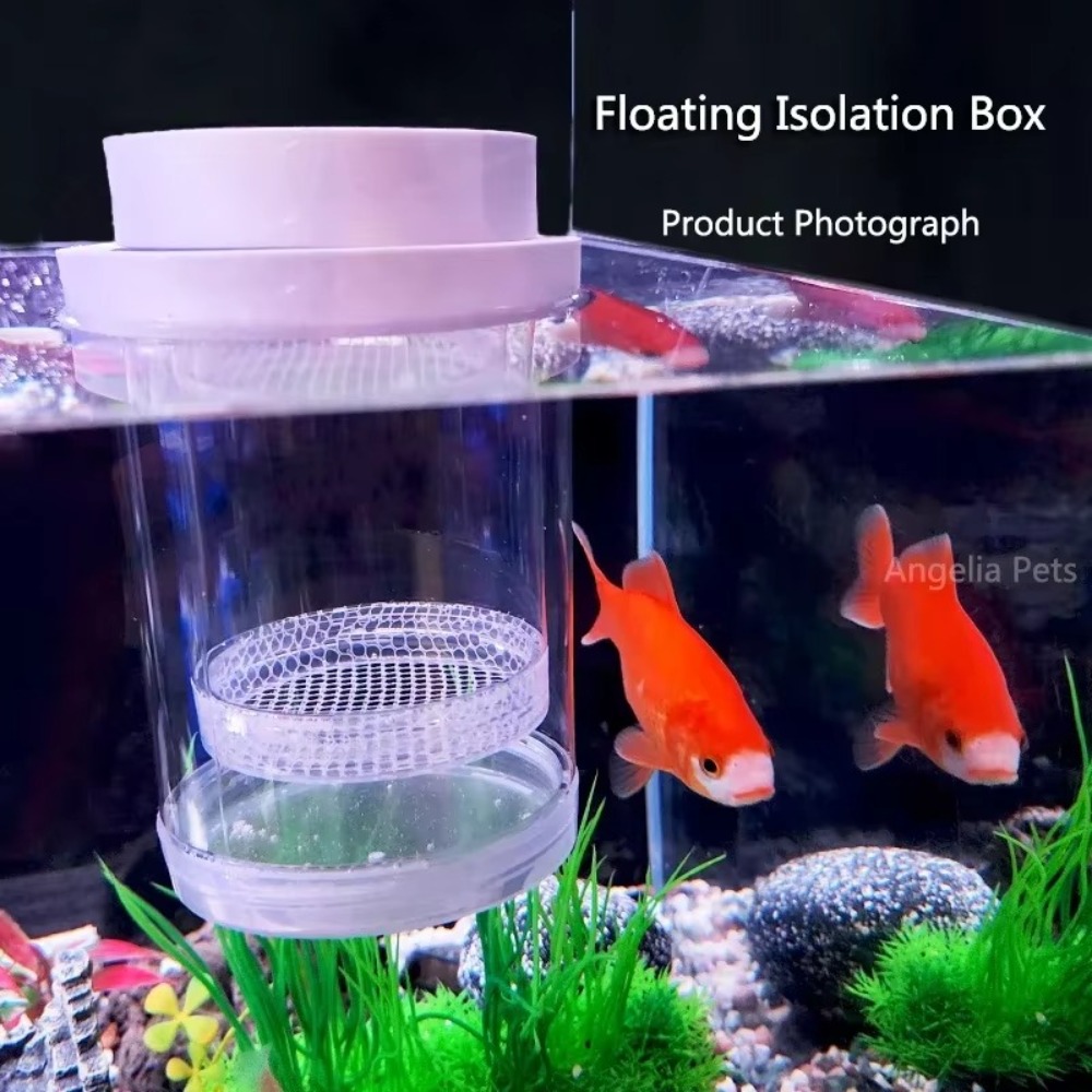 พลาสติกลอยปลา Breeding การแยกก - Aquarium Fish Feeder บทวิจารณ์และราคา
