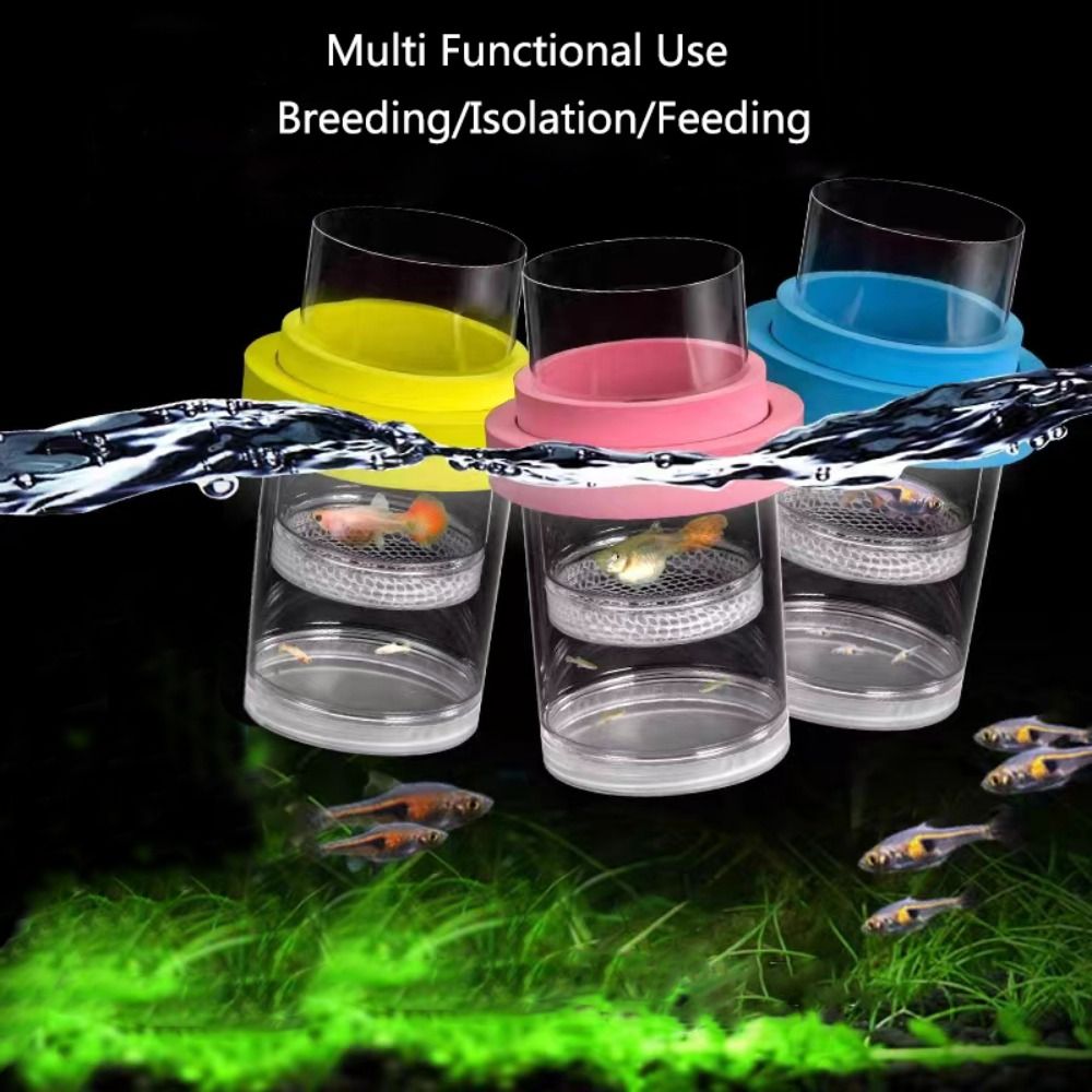 พลาสติกลอยปลา Breeding การแยกก - Aquarium Fish Feeder บทวิจารณ์และราคา