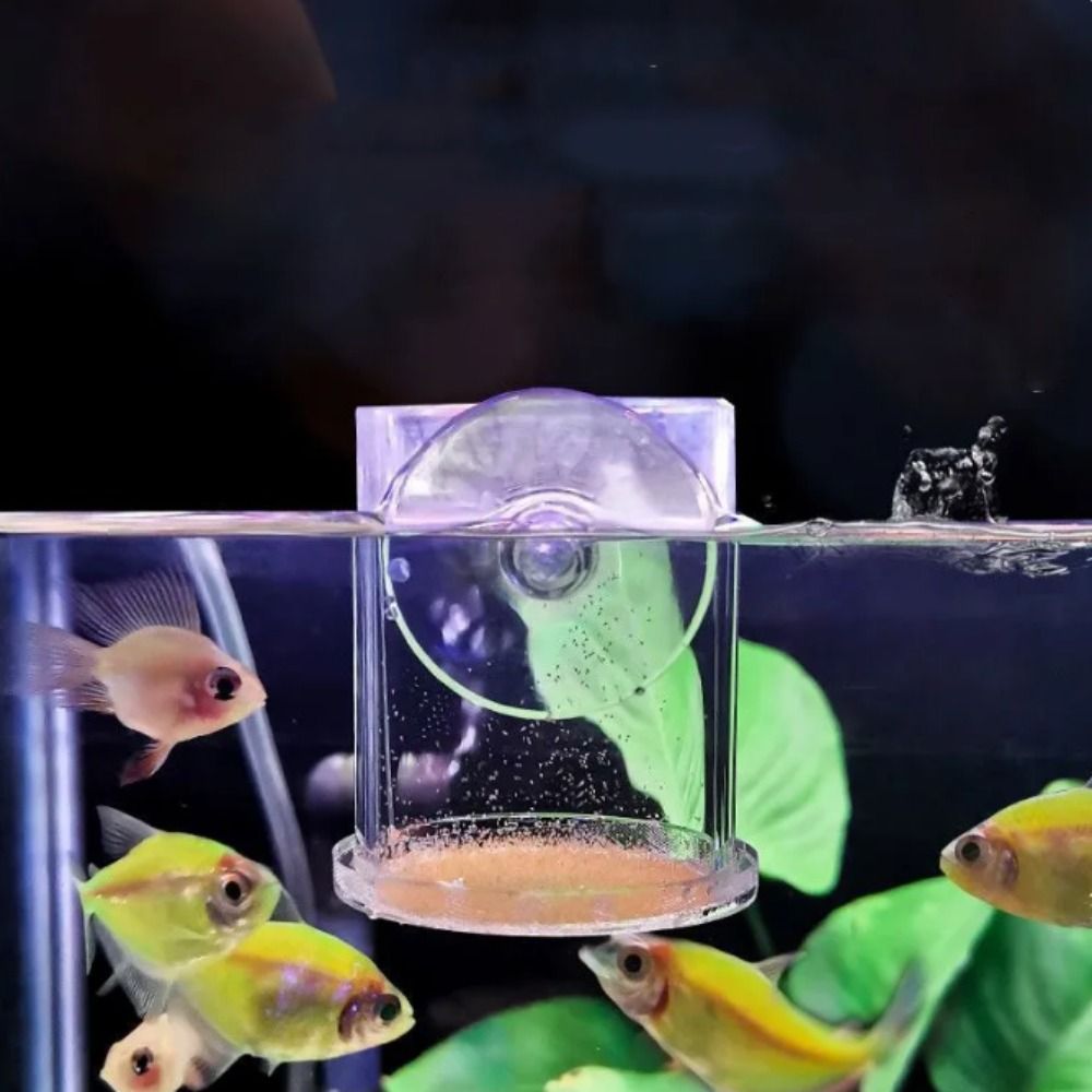 ที่ให้อาหารปลาแบบถ้วยดูดสุญญาก - Aquarium Fish Feeder บทวิจารณ์และราคา