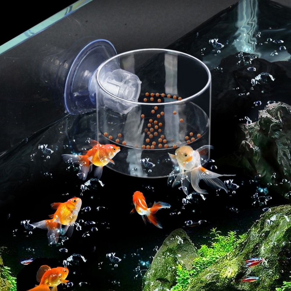 ที่ให้อาหารปลาแบบถ้วยดูดสุญญาก - Aquarium Fish Feeder บทวิจารณ์และราคา