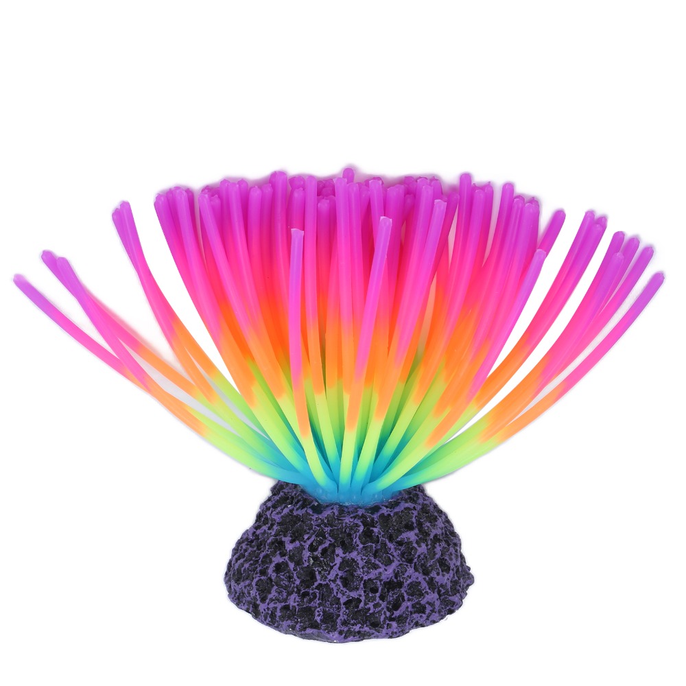 ปะการังซิลิโคนหลากสีสัน คุณสมบ - Aquarium Fish Rainbow บทวิจารณ์และราคา