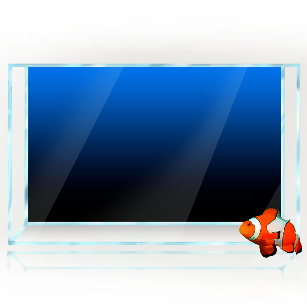 ตู้ปลาพื้นหลังสติกเกอร์สีดําสี - Aquarium Fish Wallpaper บทวิจารณ์และราคา