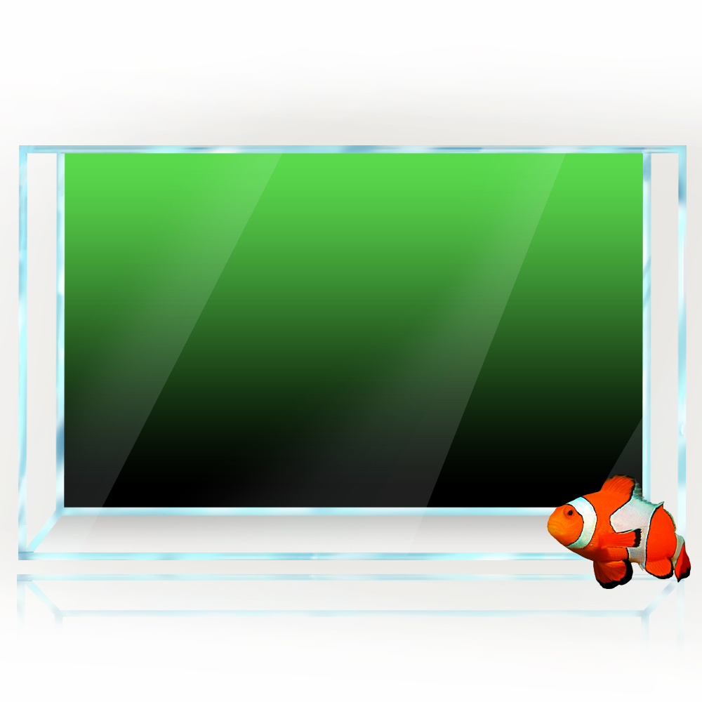 ตู้ปลาพื้นหลังสติกเกอร์สีดําสี - Aquarium Fish Wallpaper บทวิจารณ์และราคา