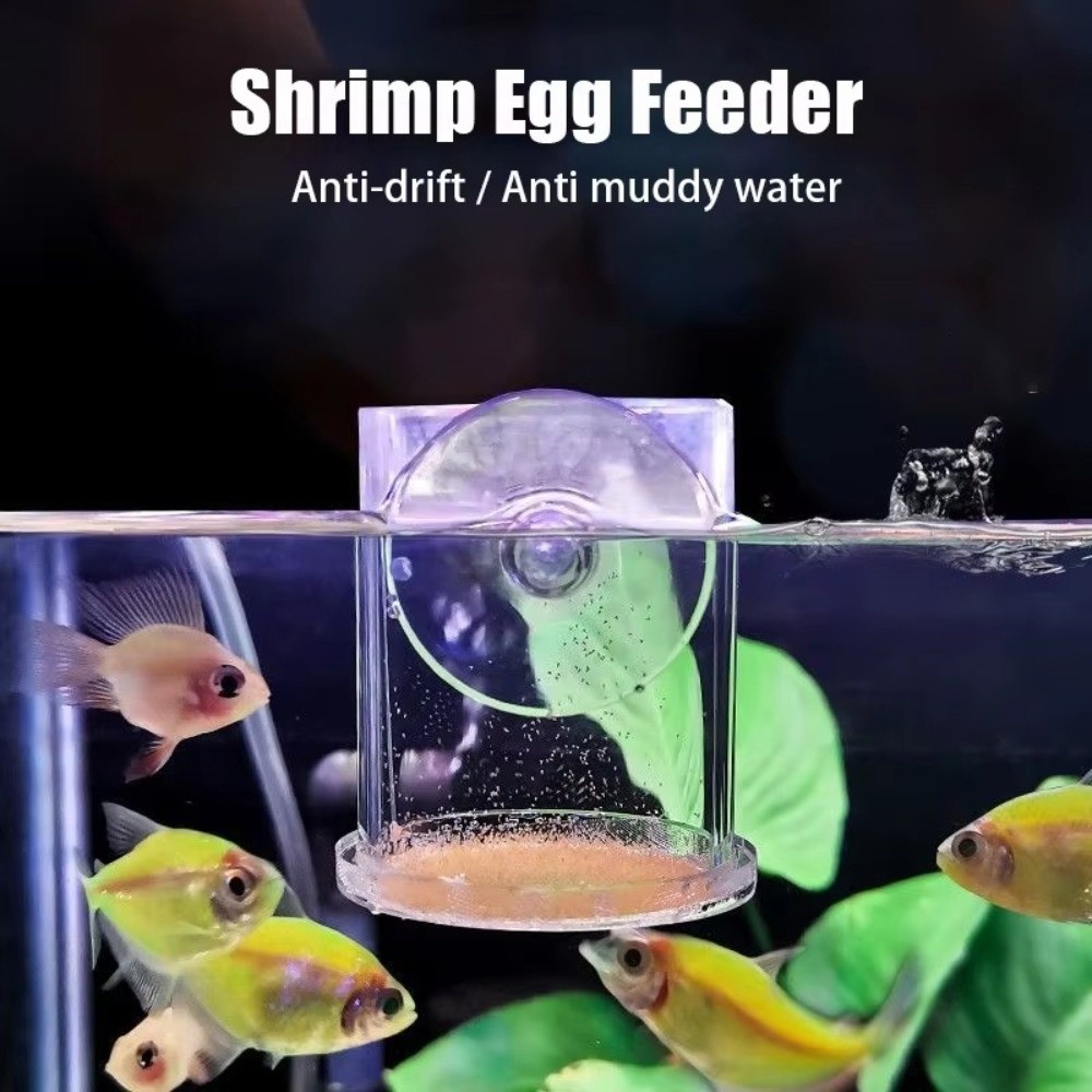 เครื่องให้อาหารกุ้งอะคริลิกแบบ - Aquarium Fish Feeder บทวิจารณ์และราคา