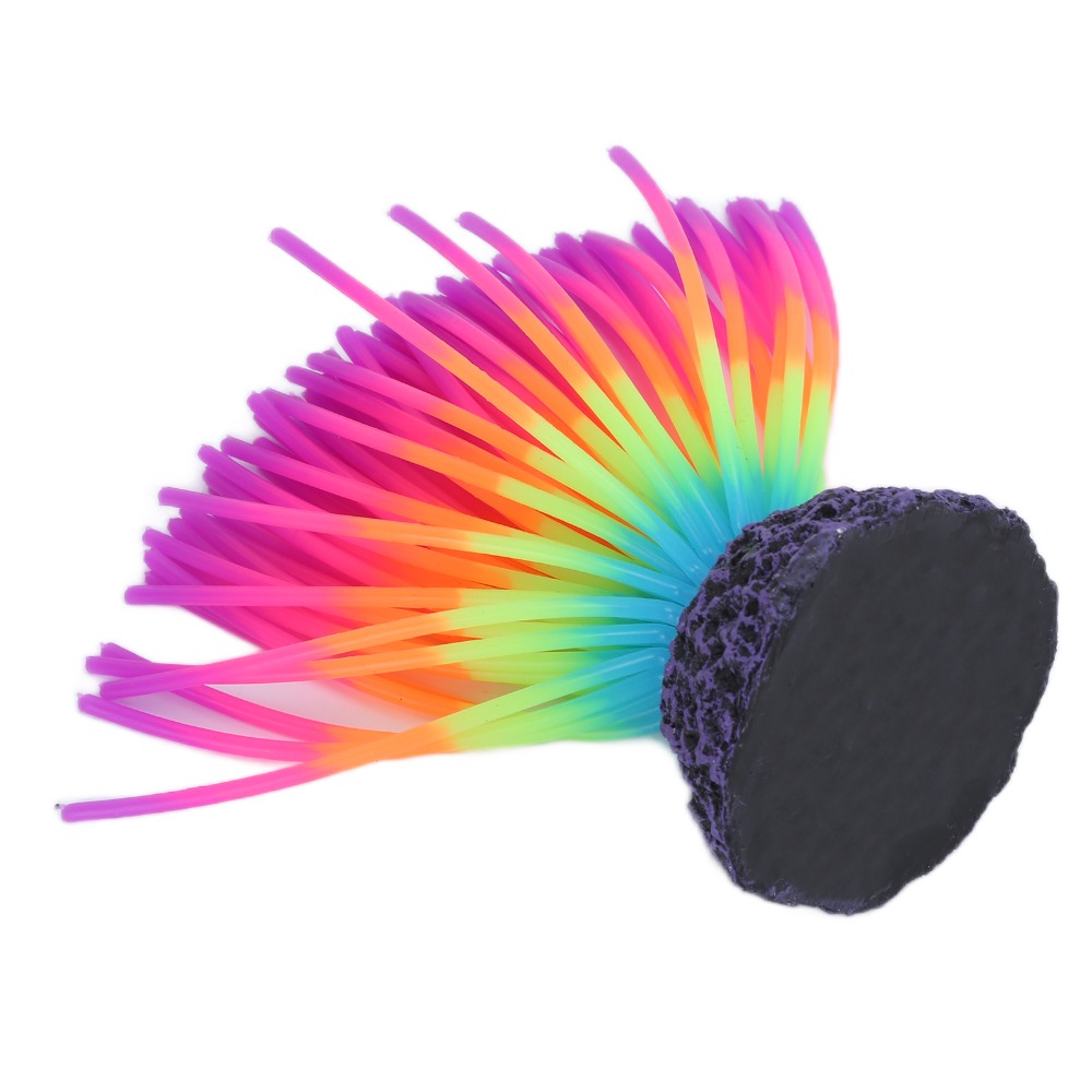 ซิลิโคนตกแต่งตู้ปลาหลากสีสัน ซ - Aquarium Fish Rainbow บทวิจารณ์และราคา