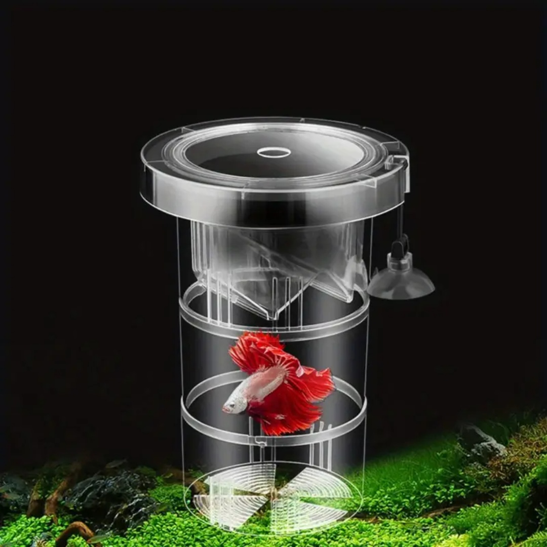กล่องอะคริลิคสำหรับเพาะพันธุ์ป - Aquarium Fish Feeder บทวิจารณ์และราคา