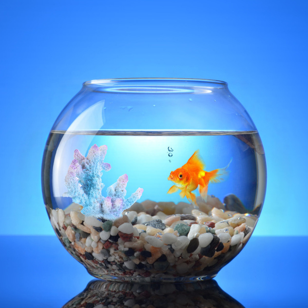 Xl-S1718 ของตกแต่งตู้ปลาปะการั - Xl Aquarium Fish บทวิจารณ์และราคา