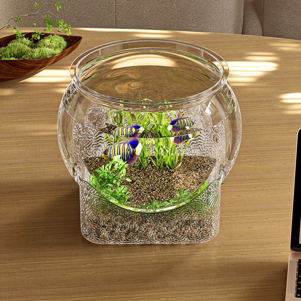 ตู้ปลาทรงกลมใสพิเศษ ถอดประกอบไ - Aquarium Fish Goldfish บทวิจารณ์และราคา