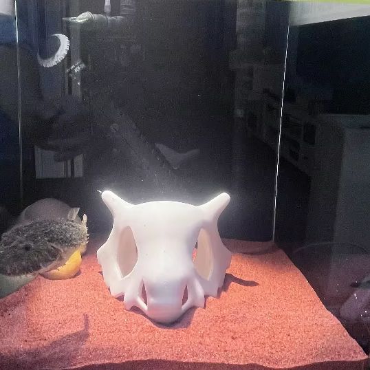 ที่ซ่อนตัวรูปทรงปลา กุ้ง หรือส - Aquarium Fish Hide บทวิจารณ์และราคา