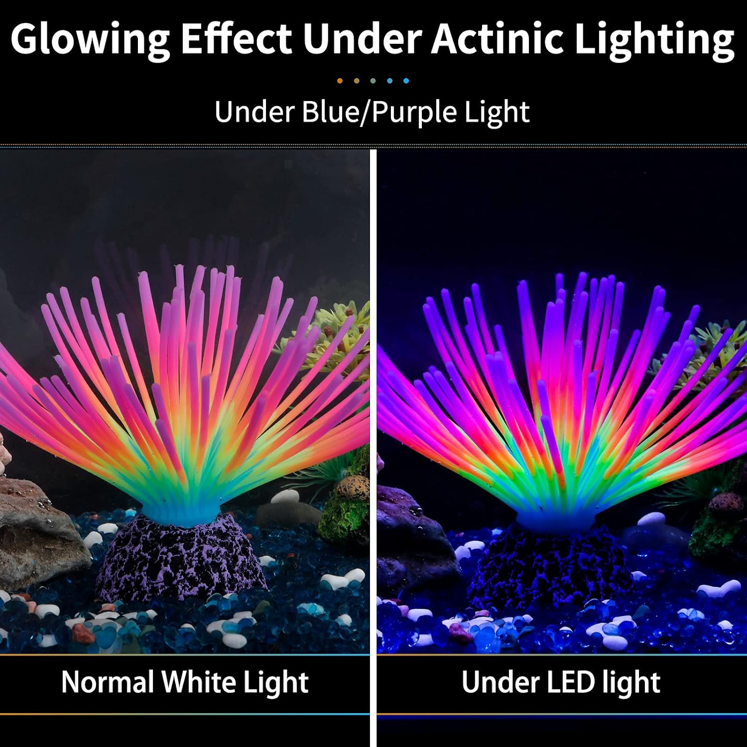 ลูกบอลหอยเม่นทะเลจำลองสีรุ้ง ท - Aquarium Fish Rainbow บทวิจารณ์และราคา
