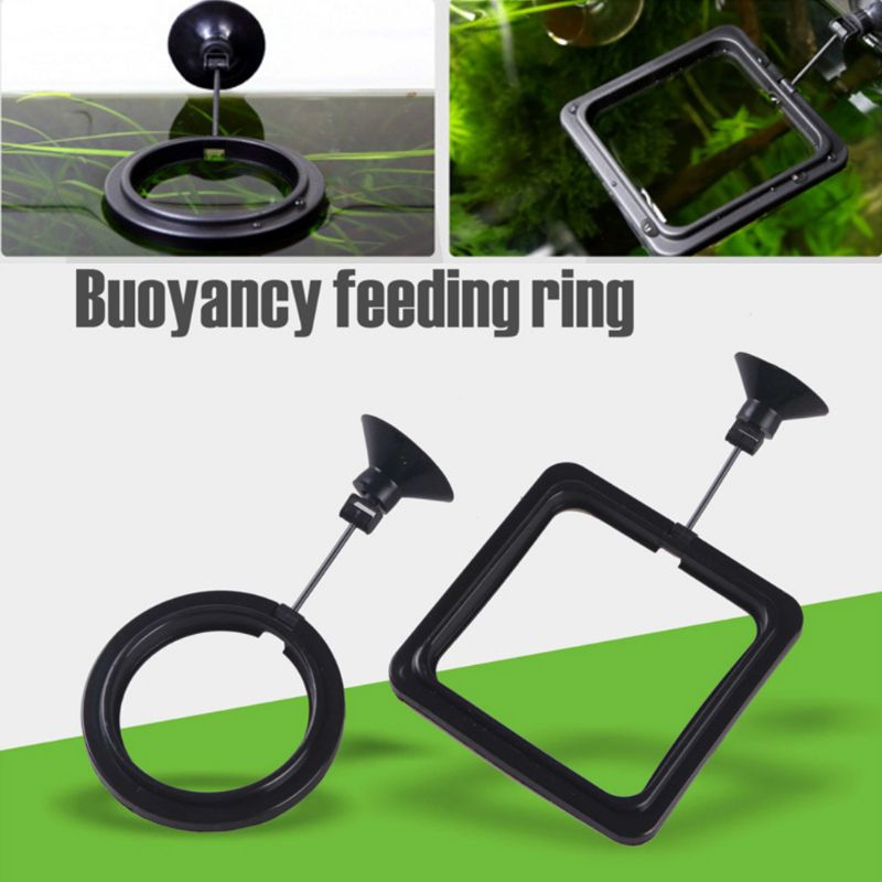 วงแหวนให้อาหารปลาในตู้ปลา ถาดอ - Aquarium Fish Feeder บทวิจารณ์และราคา